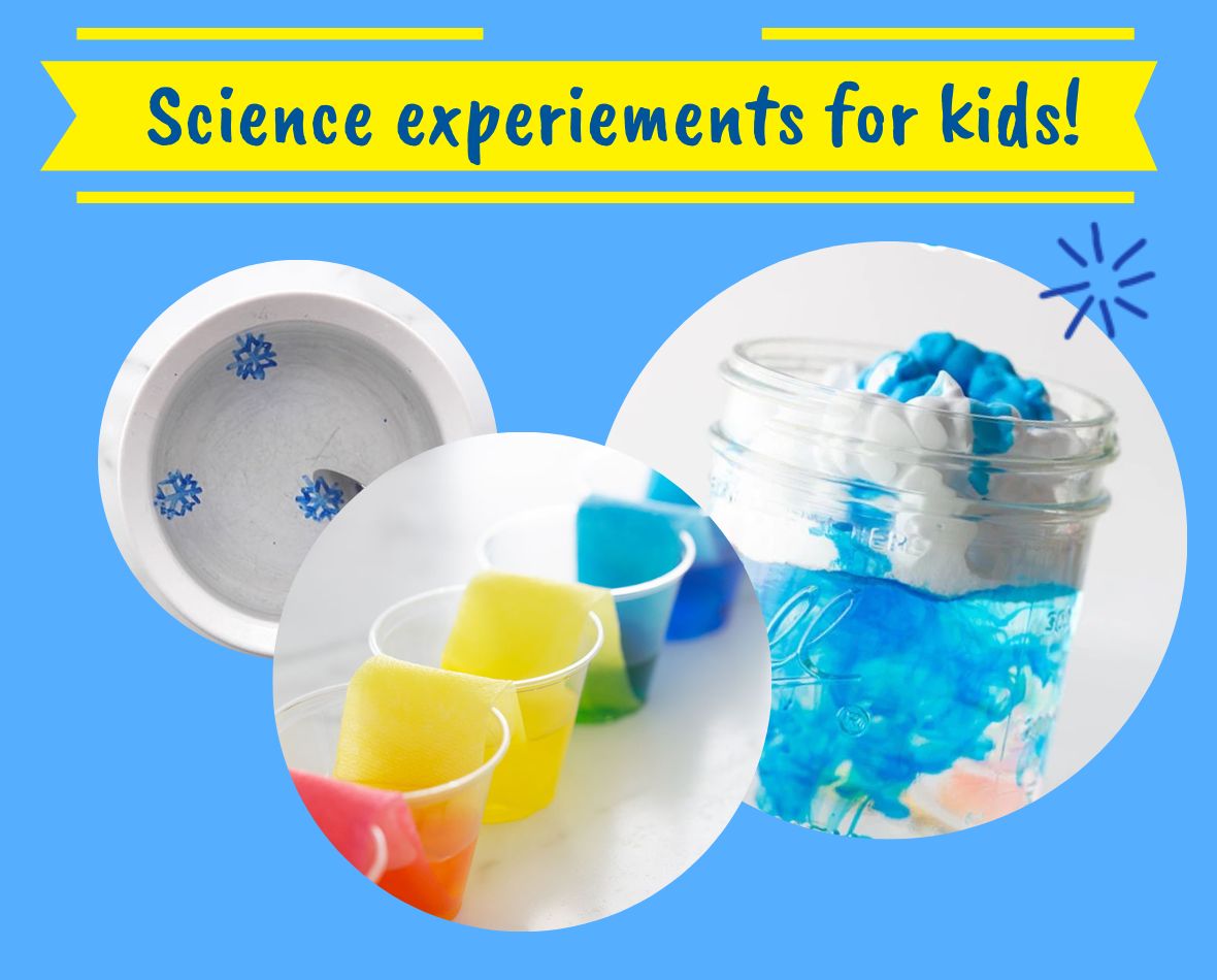 fun-science-experiments-to-try-with-your-kids-at-home-barracudas