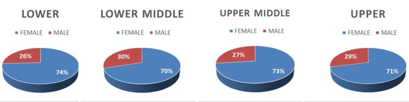 Barracudas Gender Pay Gap graphs