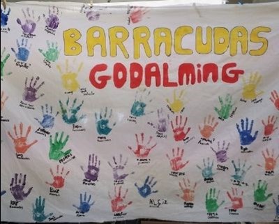 Barracudas Godalming artwork
