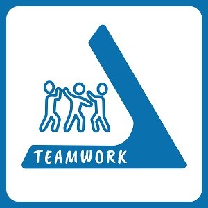 Barracudas Teamwork